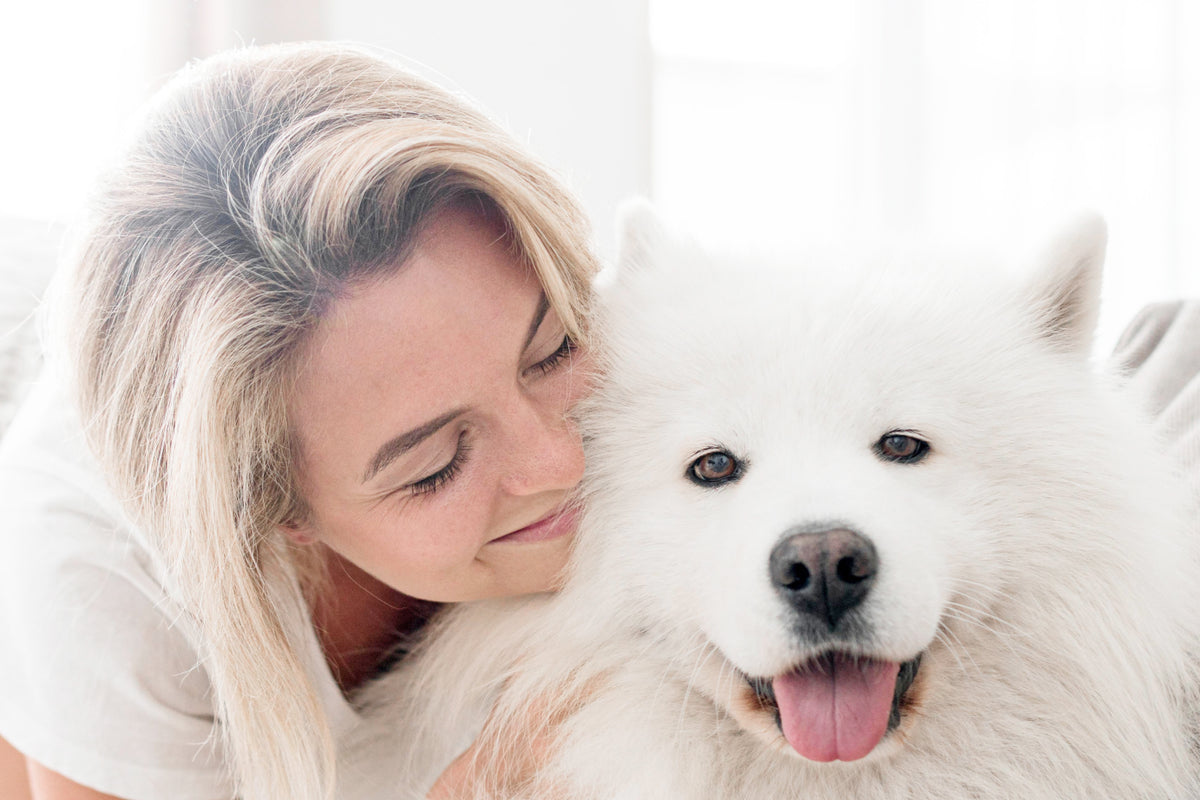 Pet Care